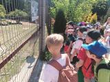 wycieczka dozoo gr 7.jpg